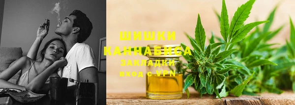 твердый Арсеньев