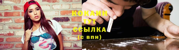 твердый Арсеньев