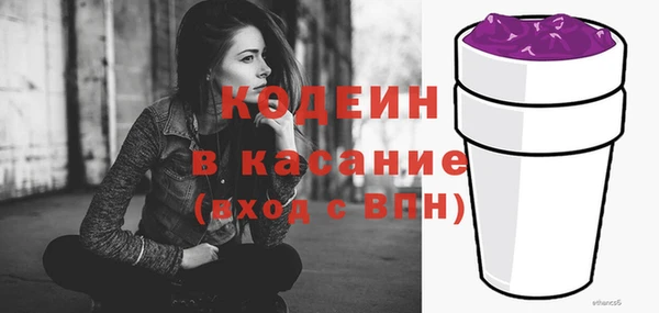 твердый Арсеньев