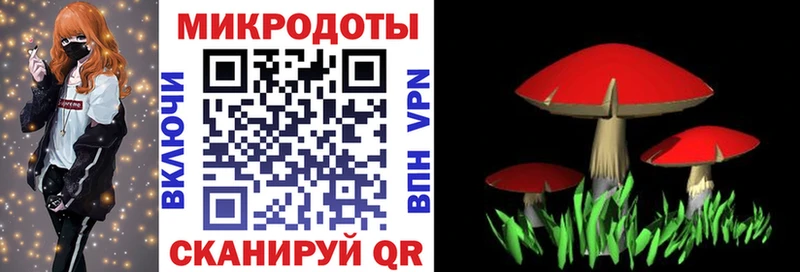 Галлюциногенные грибы прущие грибы  Купить где  Ижевск 